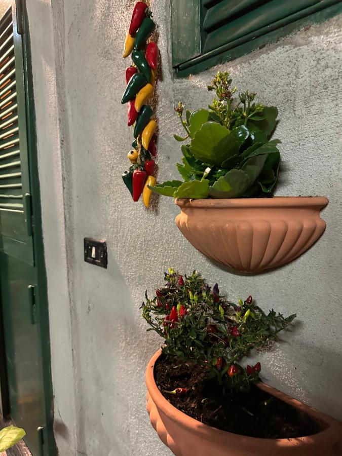 Tiny House - Spaccanapoli Appartement Buitenkant foto