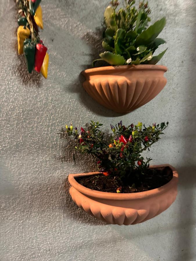 Tiny House - Spaccanapoli Appartement Buitenkant foto
